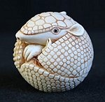 Armadillo